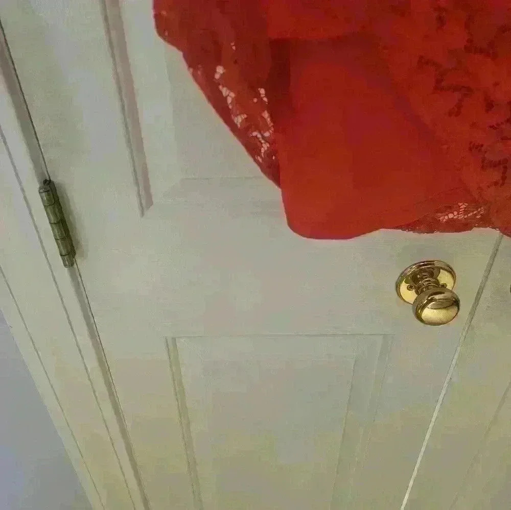 Laundry by Shelli Segal Size 4 Orange Lace Overlay Dress - Picture 6 of 16